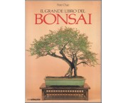 Il grande libro del bonsai