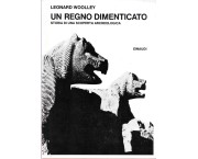 Un regno dimenticato. Storia di una scoperta archeologica