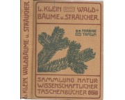 Unsere waldbaume, Straucher und Zwergholzgewachse (I nostri alberi forestali, arbusti e piante nane)