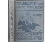 Unsere Waldbaume Und Farngewachse (I nostri alberi forestali e felci)