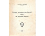 Un paese medievale presso Sanremo. Triora visto attraverso 196 illustrazioni