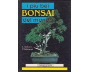 I più bei bonsai del mondo